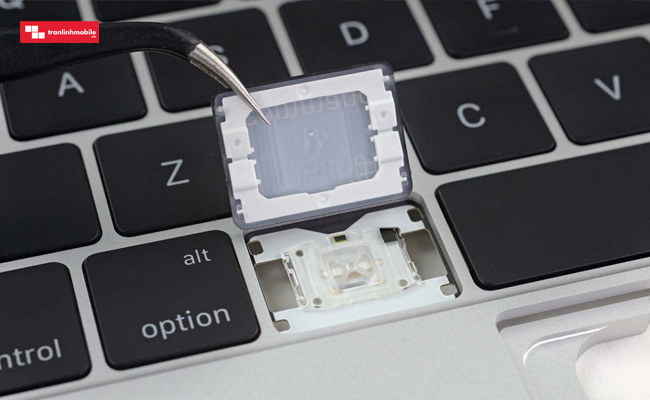 Bàn phím của Macbook quá tệ, bị chỉ trích ngay tại giải Oscar