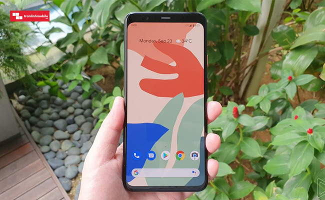 google pixel 4xl